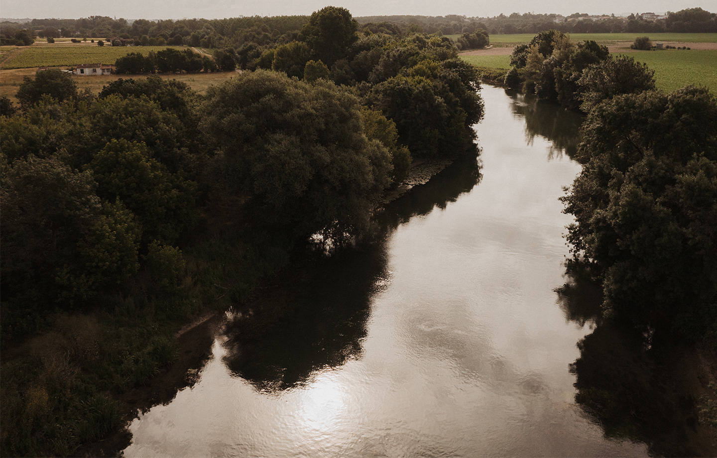 summum-vodka-une-histoire-de-nature